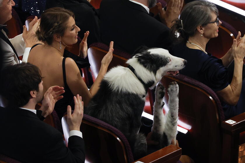 Show - 96th Academy Awards - Messi - i cane di Anatomia di una caduta © ANSA/EPA